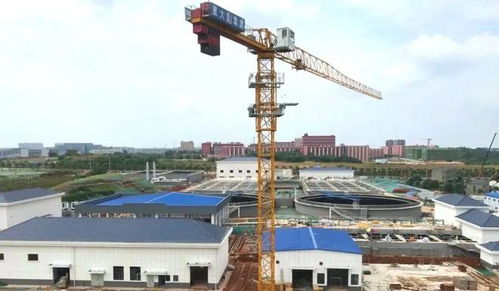 長沙縣教育基建再發力 新校落成與重點項目施工進展盤點